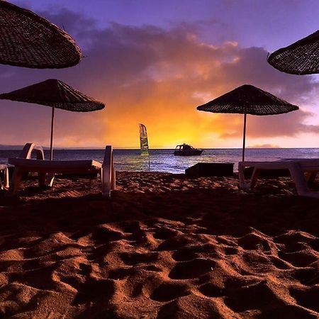 Cicek Evler Tatil Koeyue Hotel Armutlu Екстериор снимка