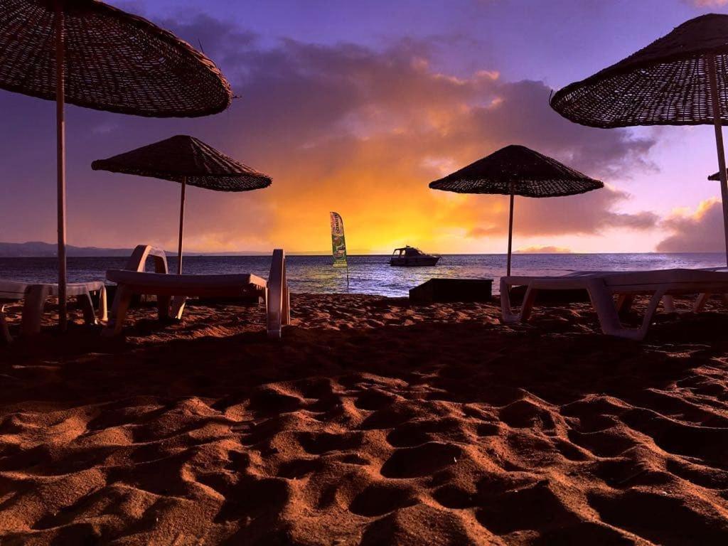 Cicek Evler Tatil Koeyue Hotel Armutlu Екстериор снимка